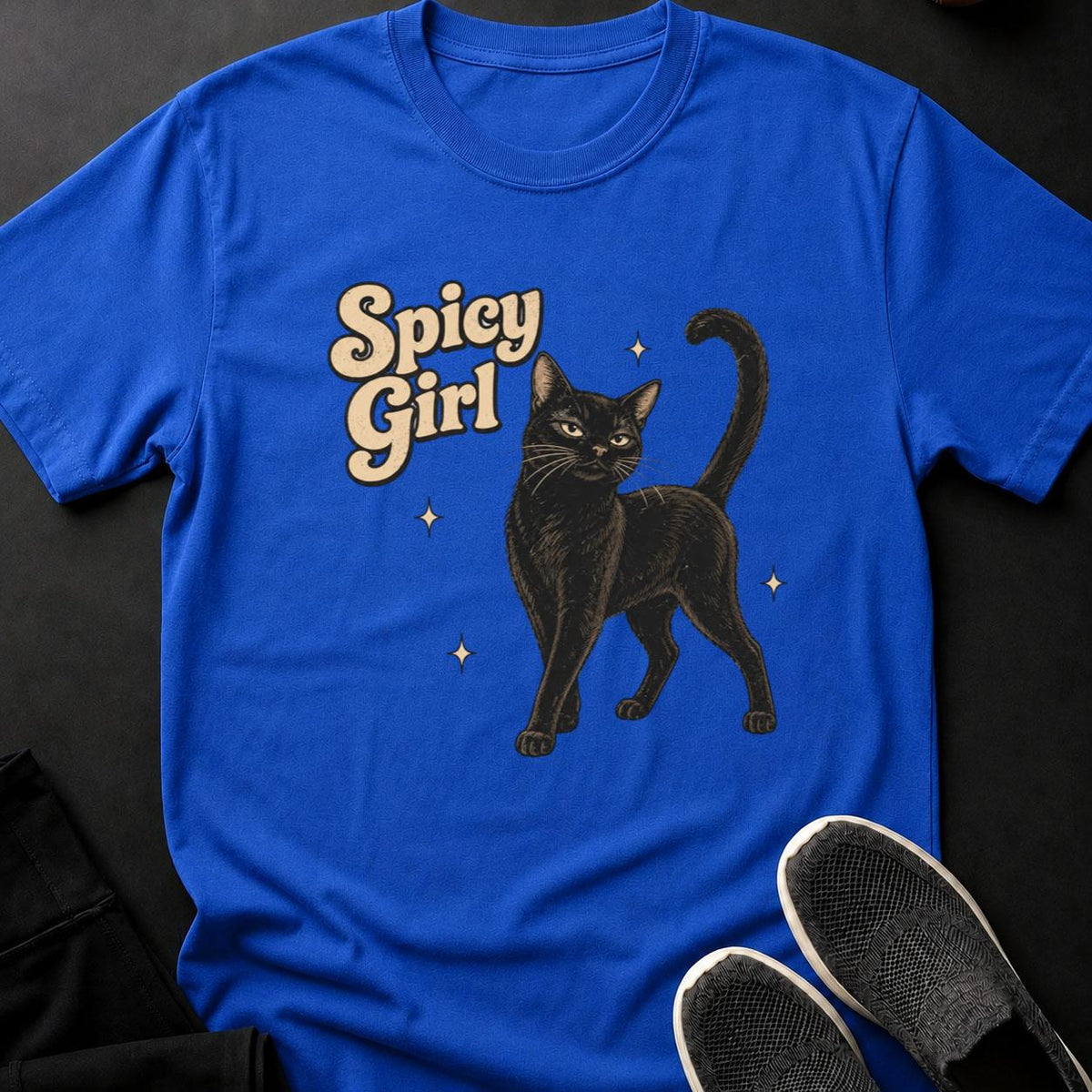 Spicy Girl Retro Cat Poster(1)